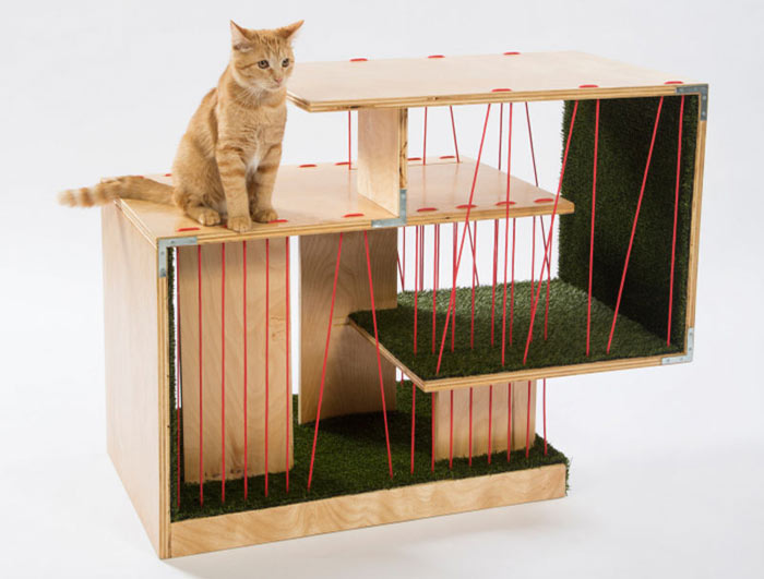 10-escritorios-famosos-assinam-casas-divertidas-para-gatos