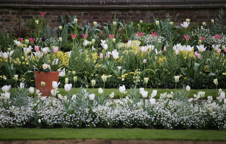 Princesa Diana ganha jardim em sua homenagem