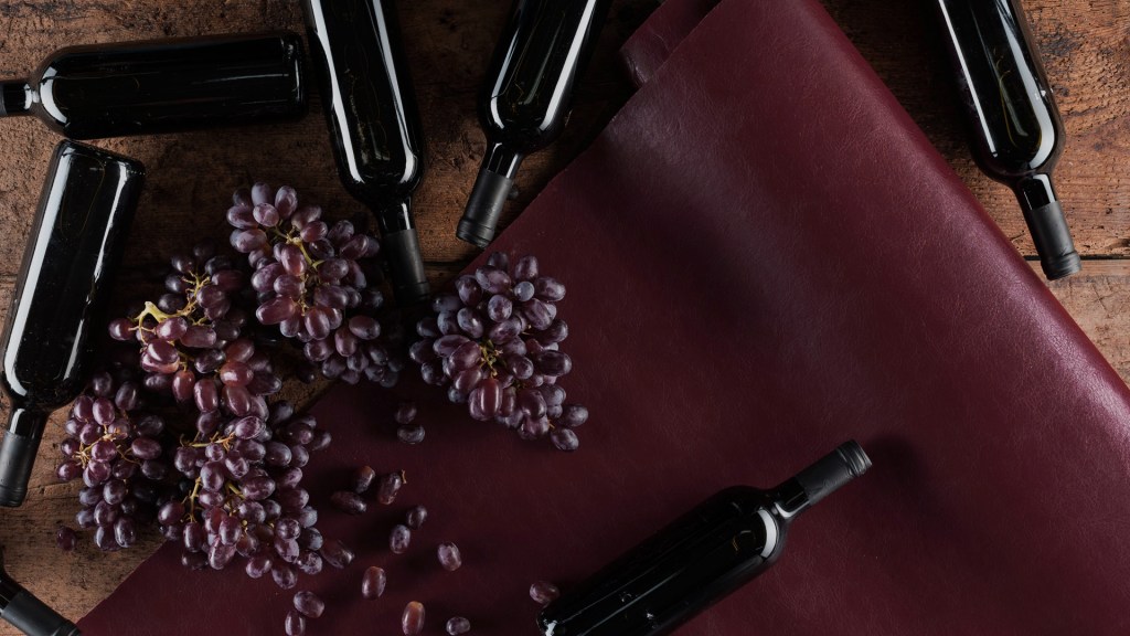 Empresa italiana cria couro ecológico com uvas e óleos