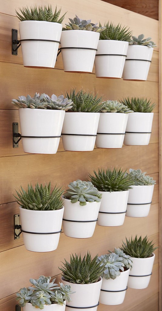 Pouch unit Overwhelming Jardim vertical ganha praticidade com suportes para vasos | CASA CLAUDIA