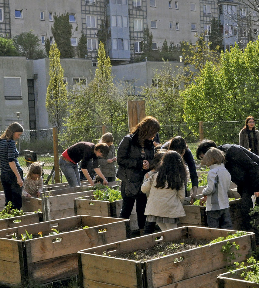 Em Berlim, as hortas comunitárias são um movimento estabelecido.