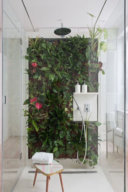 Banheiro com plantas
