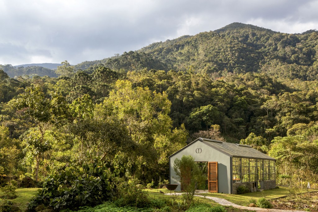 Casa em Minas Gerais tem jardim com mais de 400 espécies raras