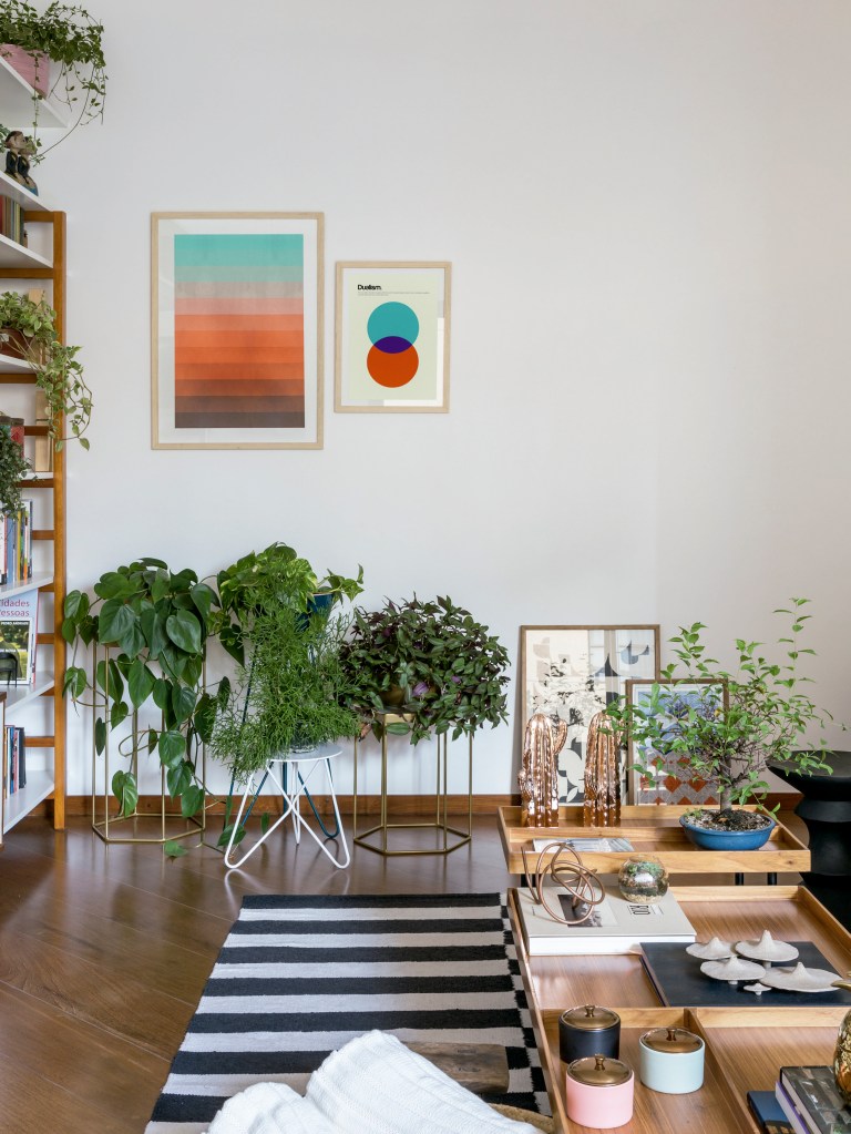 Sala de estar com cantinho de plantas